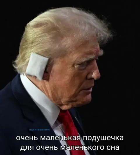 Очень маленькая подушечка для сна