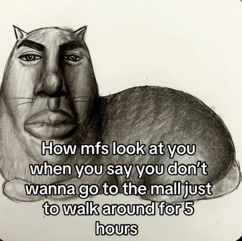 Cat Judges Mall Avoidance