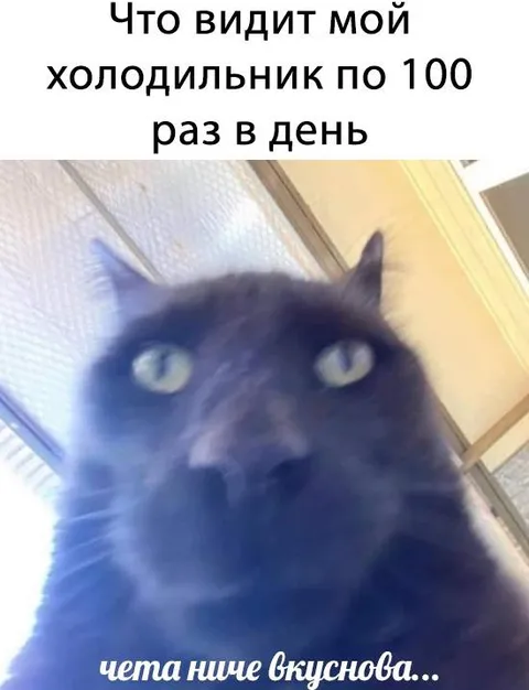Холодильник снова пустой