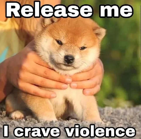 Release Me, I Crave Violence