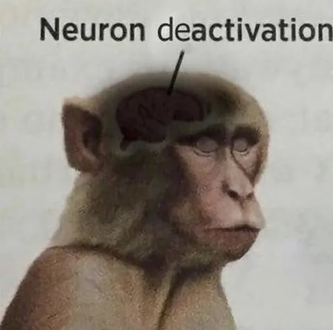 Neuron Deactivation Monkey