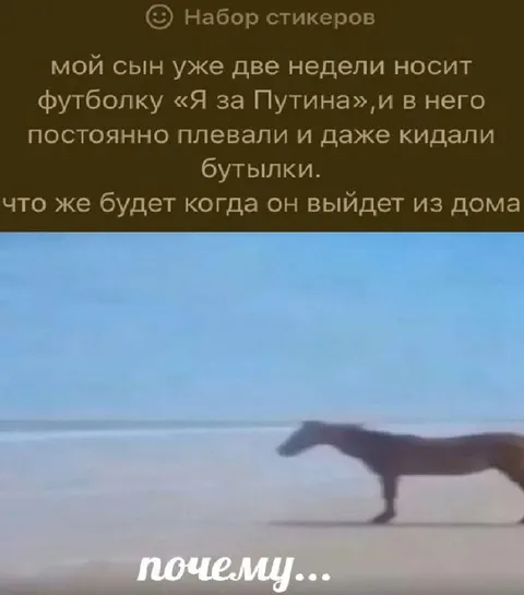 Сын в футболке «Я за Путина»