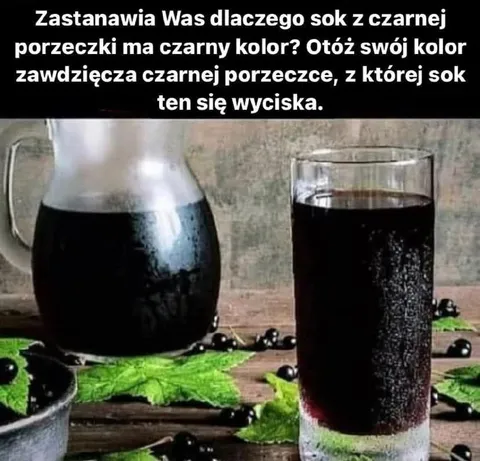 Dlaczego sok z czarnej porzeczki jest czarny